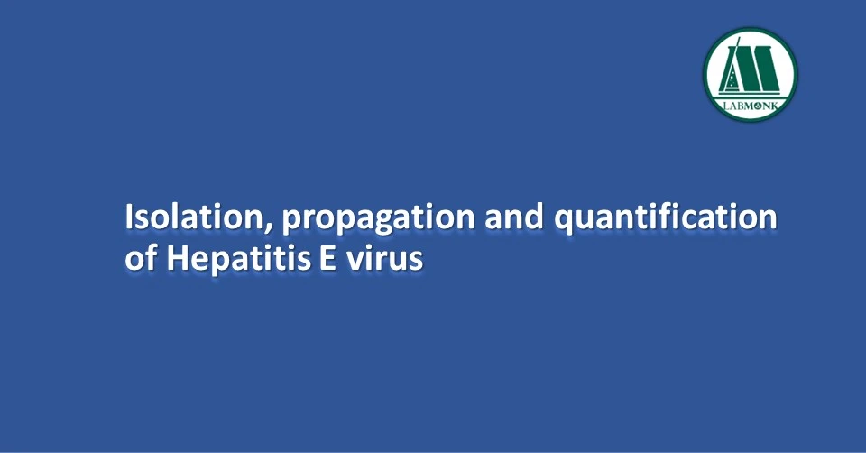 Isolation, propagation and quantification of Hepatitis E virus