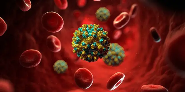 Isolation, propagation and quantification of Hepatitis E virus