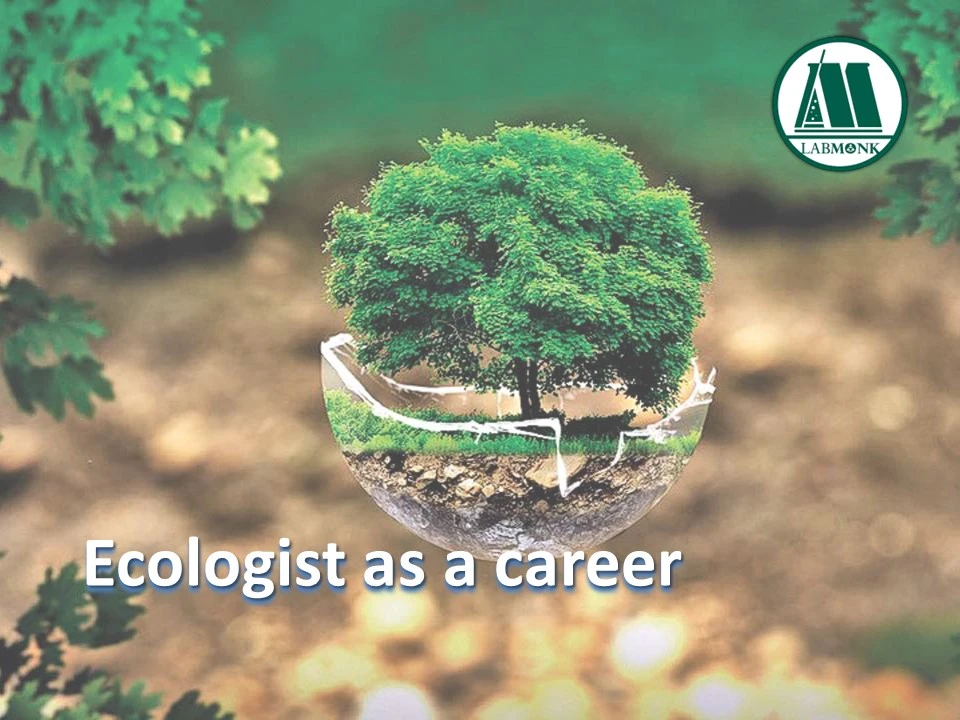 Ecologist as a career