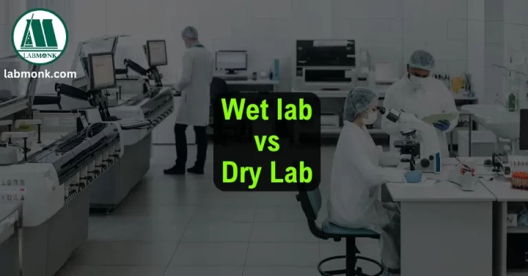 Wet lab vs Dry Lab