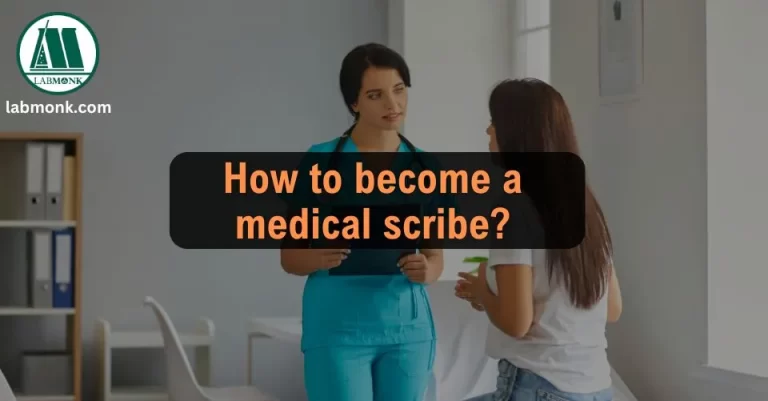 How to Become a Medical Scribe?