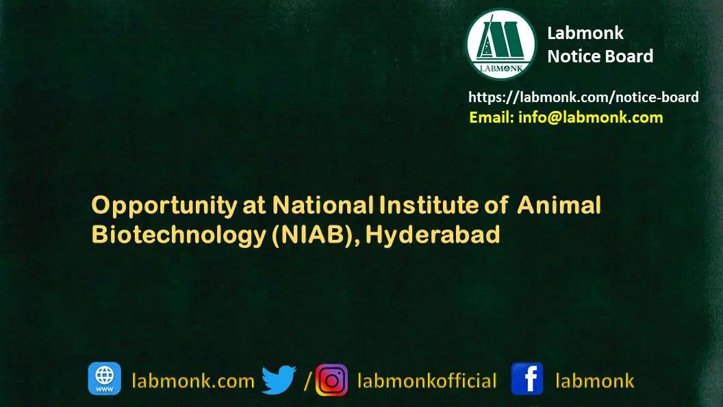 Opportunity at National Institute of Animal Biotechnology (NIAB), Hyderabad  - Notice Board