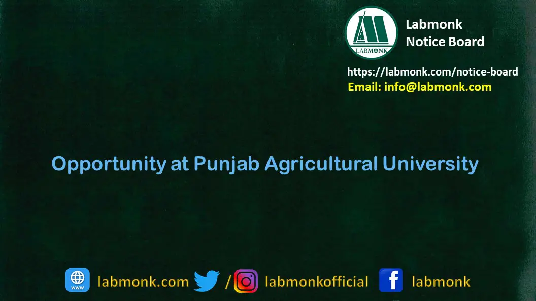 Opportunity at Punjab Agricultural University