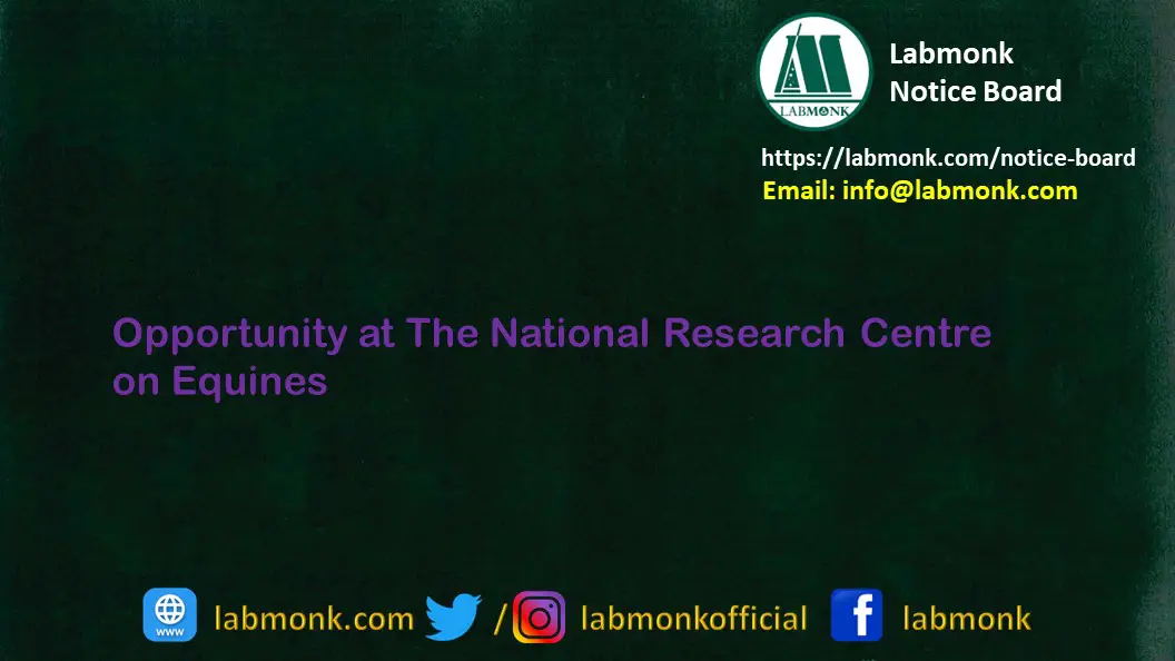 Opportunity at The National Research Centre on Equines