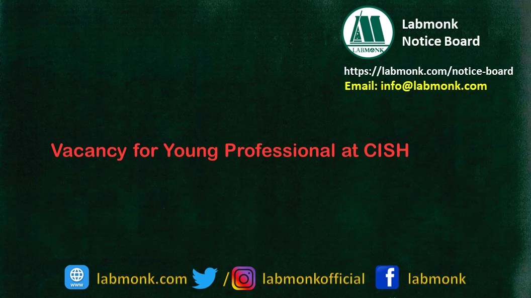Vacancy for Young Professional at CISH