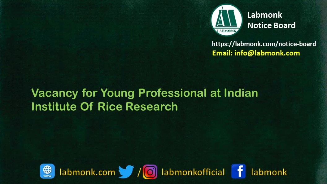 Vacancy for Young professional at Indian Institute of Rice Research 2023