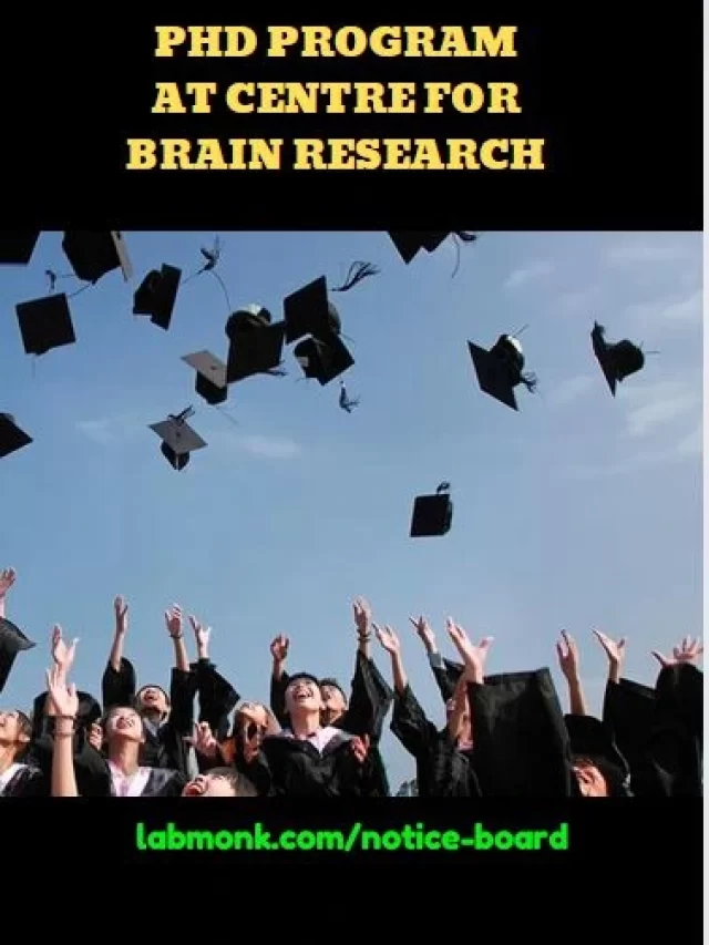 PhD program at Centre for Brain Research