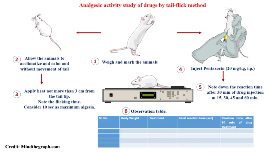 analgesic activity study