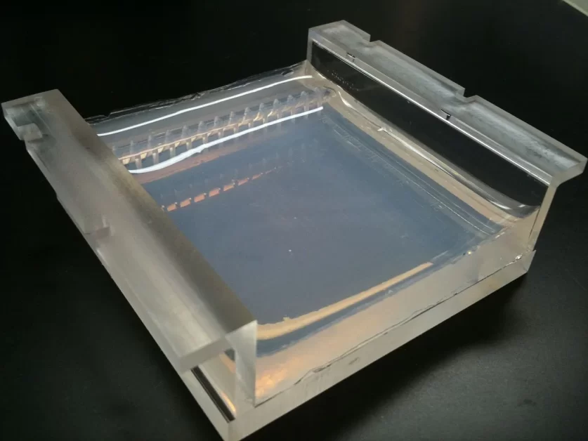 An agarose gel cast in tray, to be used for gel electrophoresis