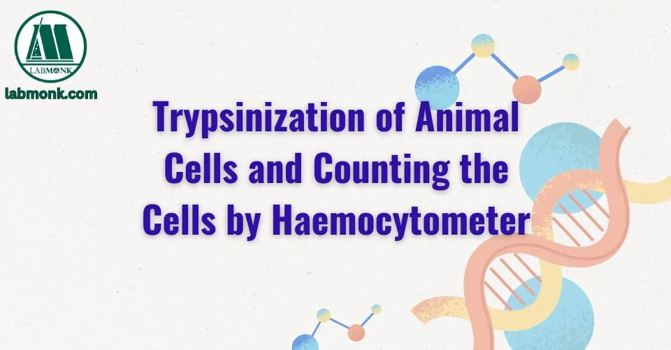 Trypsinization of Animal Cells and Counting the Cells by Haemocytometer