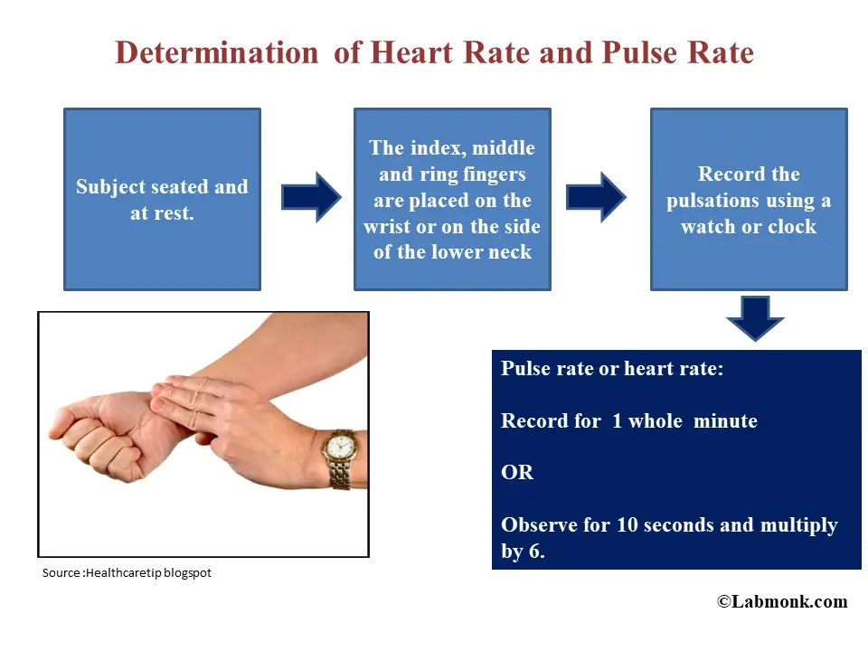 Determination of Heart Rate and Pulse Rate of the Patient