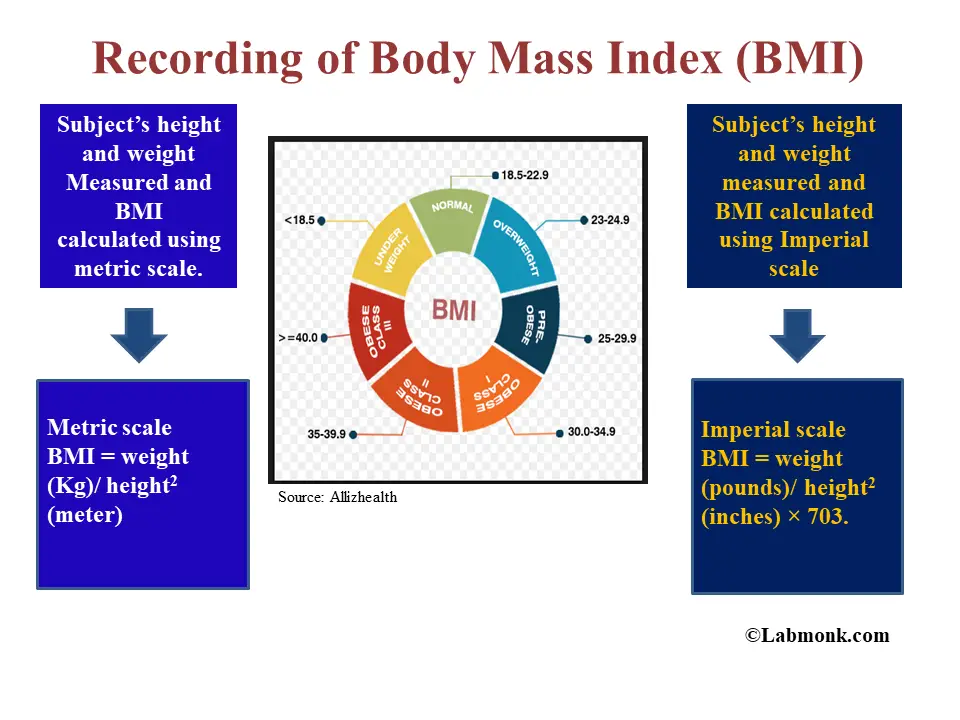 Recording And Calculation Of Body Mass Index Of The Patient Labmonk