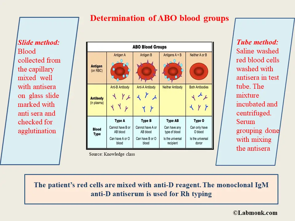 Method of determination. Determination of Blood Groups. Blood Group Types. Abo Blood Group. Rh Blood Type.