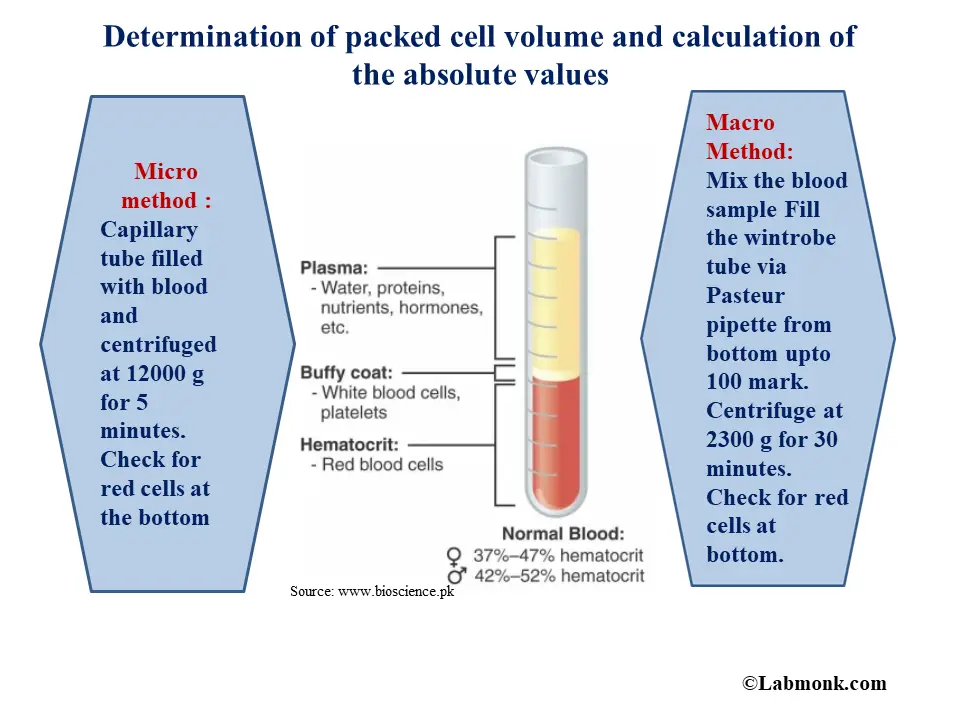 Method of determination. Cell Volume. Biochemical Blood Test. Biochemical Blood Analysis. Biochemical method.