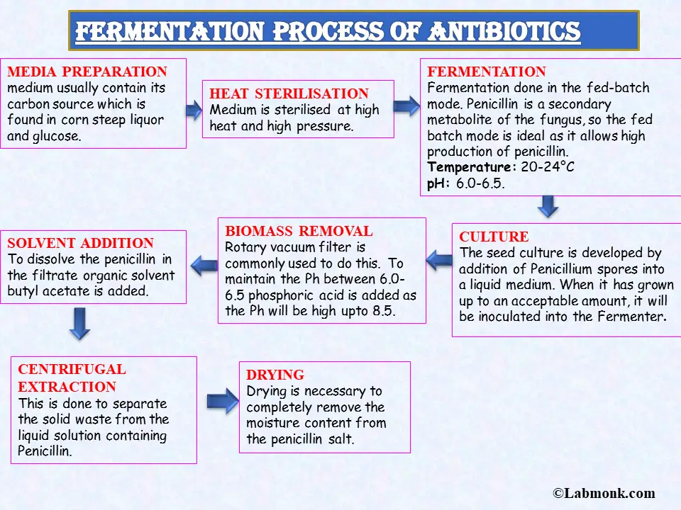 Fermentation process of antibiotics