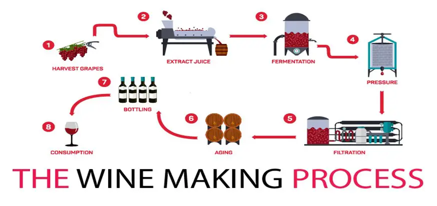 Fermentation process of wine production