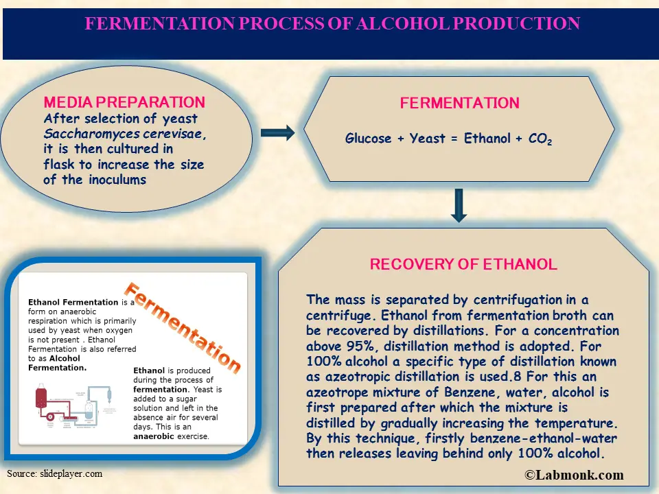 Fermentation process of alcohol production