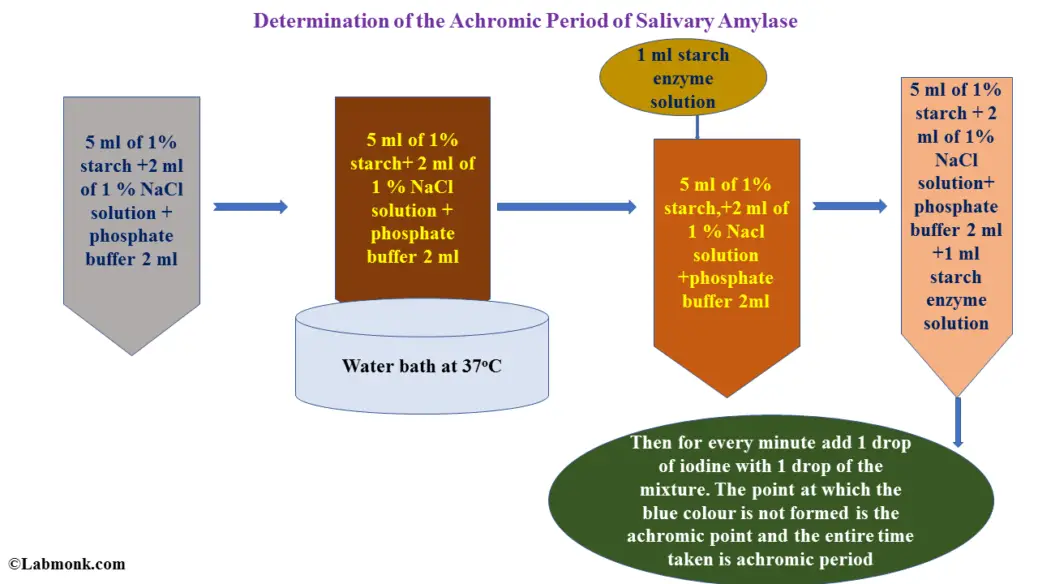 Determination of the Achromic Period of Salivary Amylase