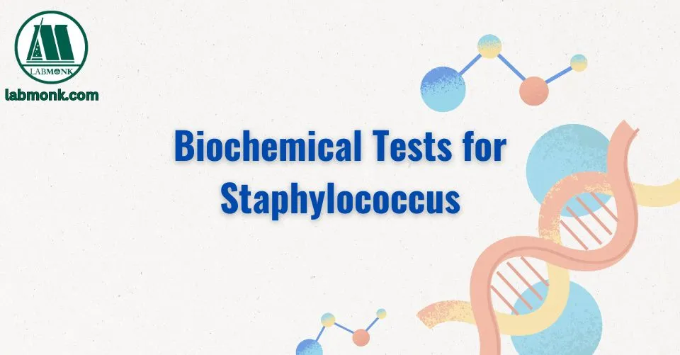 Biochemical Tests for Staphylococcus