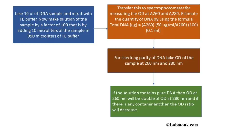 Estimation of DNA and its purity check using UV spectrophotometer (A260 measurement)