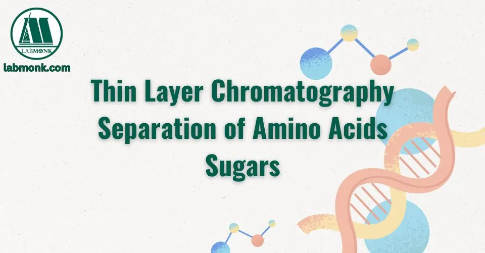 Thin Layer Chromatography Separation of Amino Acids Sugars