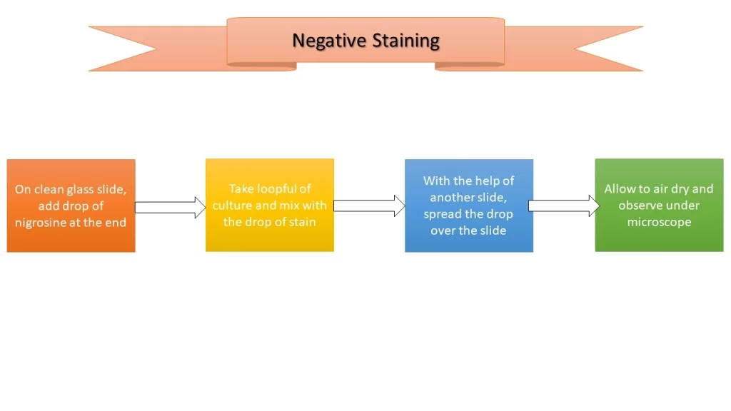 Negative staining