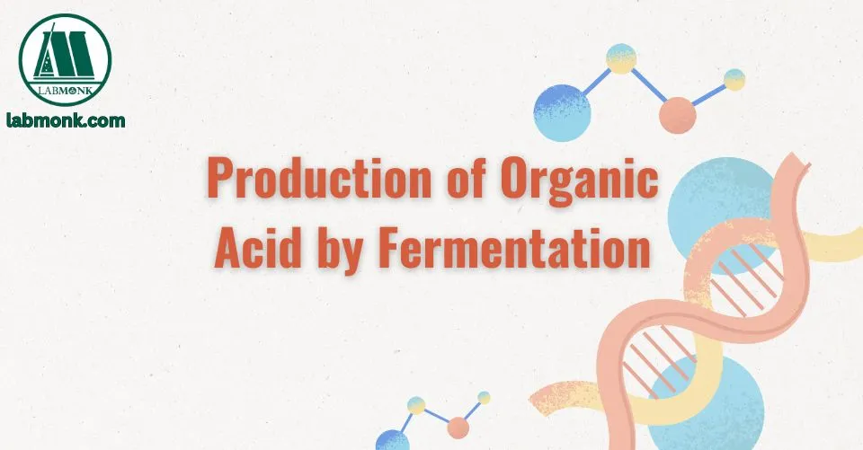 Production of Organic Acid by Fermentation