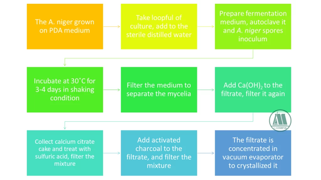 Production of Organic acid by fermentation