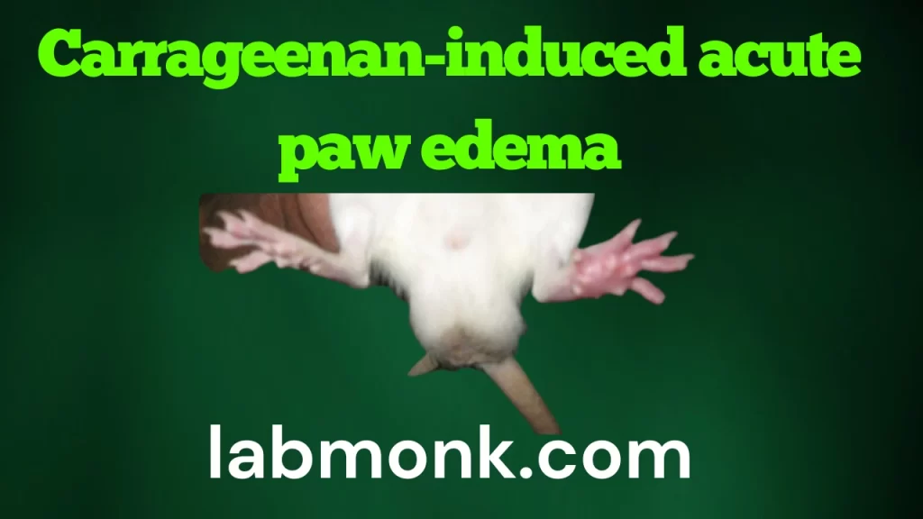 Carrageenan-induced-acute-paw-edema